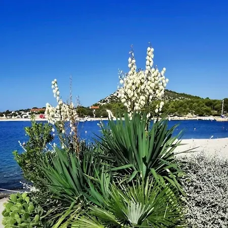 Ferienhaus Seaside House Drage, Biograd - 23157