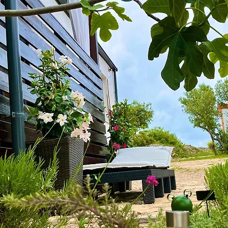 Ferienhaus Seaside House Drage, Biograd - 23157