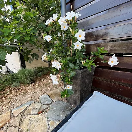 Ferienhaus Seaside House Drage, Biograd - 23157